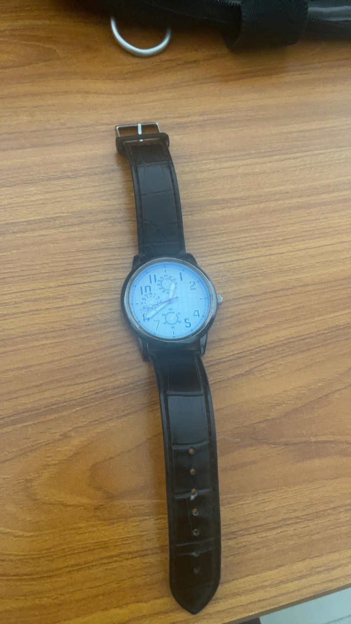 Lorex watch